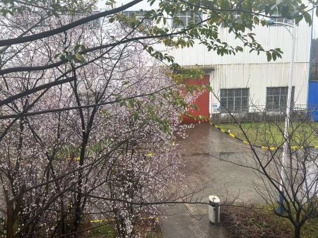 微信圖片_20250325105337 微信圖片_20250325105337