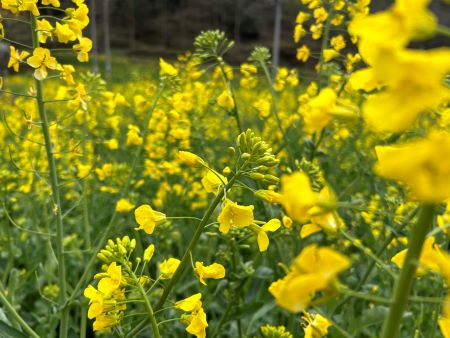 微信圖片_20250402145619 微信圖片_20250402145619