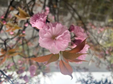 微信圖片_20250402145629 微信圖片_20250402145629