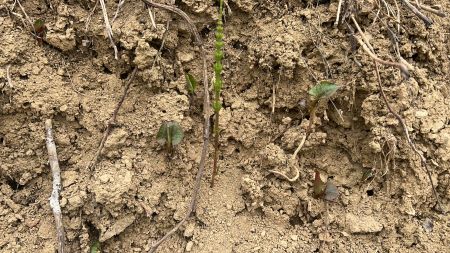 微信圖片_20250423162456 微信圖片_20250423162456