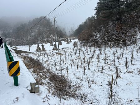 微信圖片_20260104105535 微信圖片_20260104105535