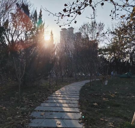 34ec6b4f55876ace1d6b8aa395547223 34ec6b4f55876ace1d6b8aa395547223