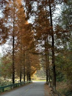 微信圖片_20260112095306