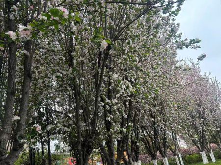 微信圖片_20260401164725