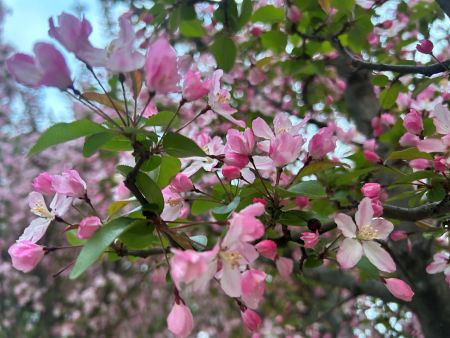 微信圖片_20260401163004