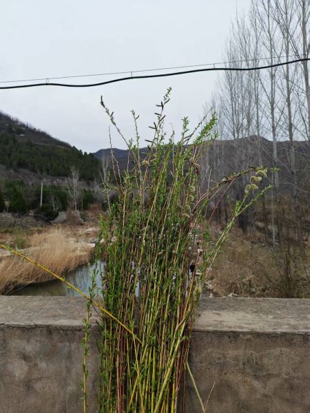 38039d90ac5a0d98f1b8e147c2fe7242