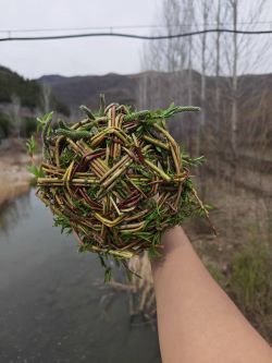 2b1fdc45705a7bdacea4c84d1959ffdd