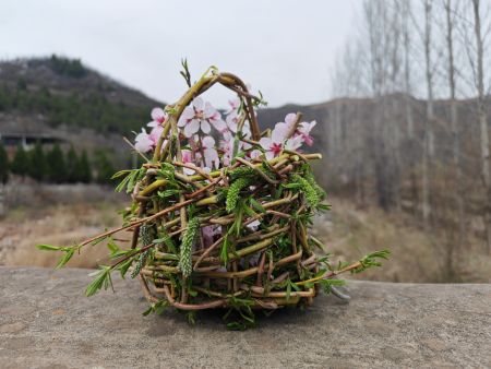 c66339df5e60bd676b6ce9d6520bea71