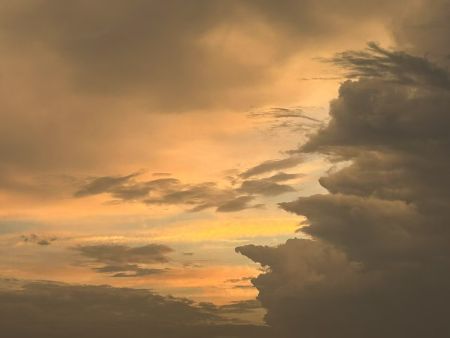 1389cfd2939e0ddc3de64fd1a5eae1b3